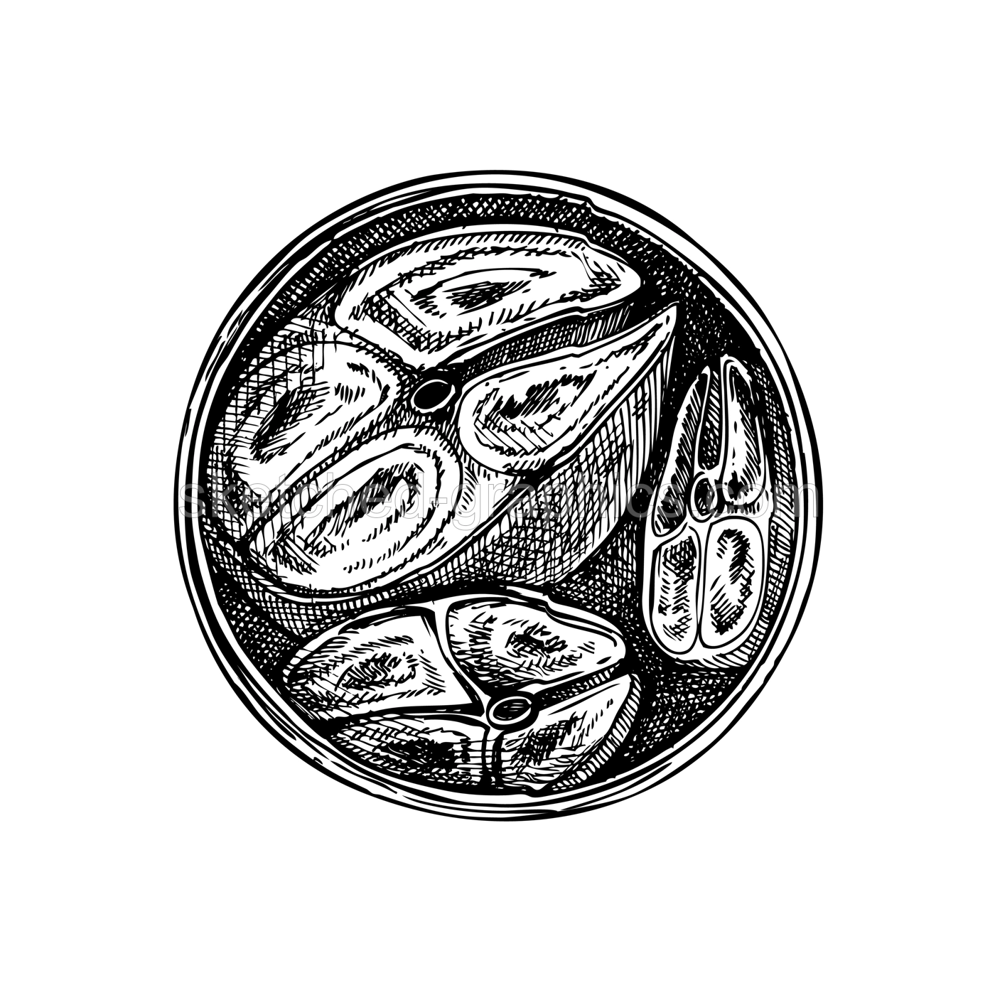 Hand drawn canned fish illustration. Mackerel in olive oil vector drawing isolated on white background. Tinned fish food sketch. Tin can with seafood for restaurant menu or product design Illustration